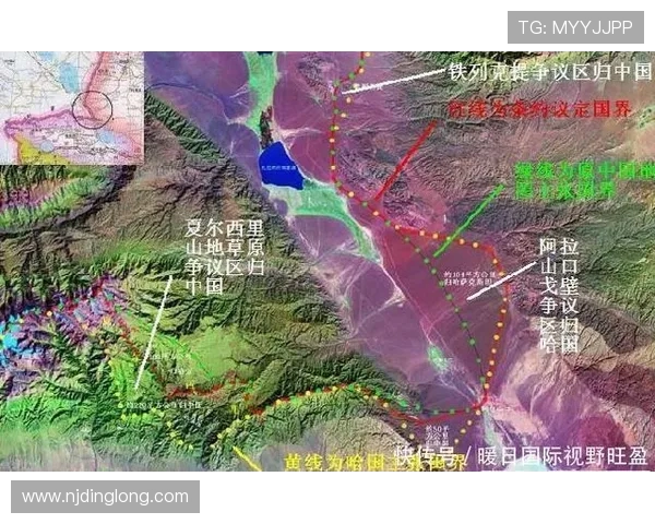 赖斯的外交智慧与全球战略布局：重塑国际关系的新篇章